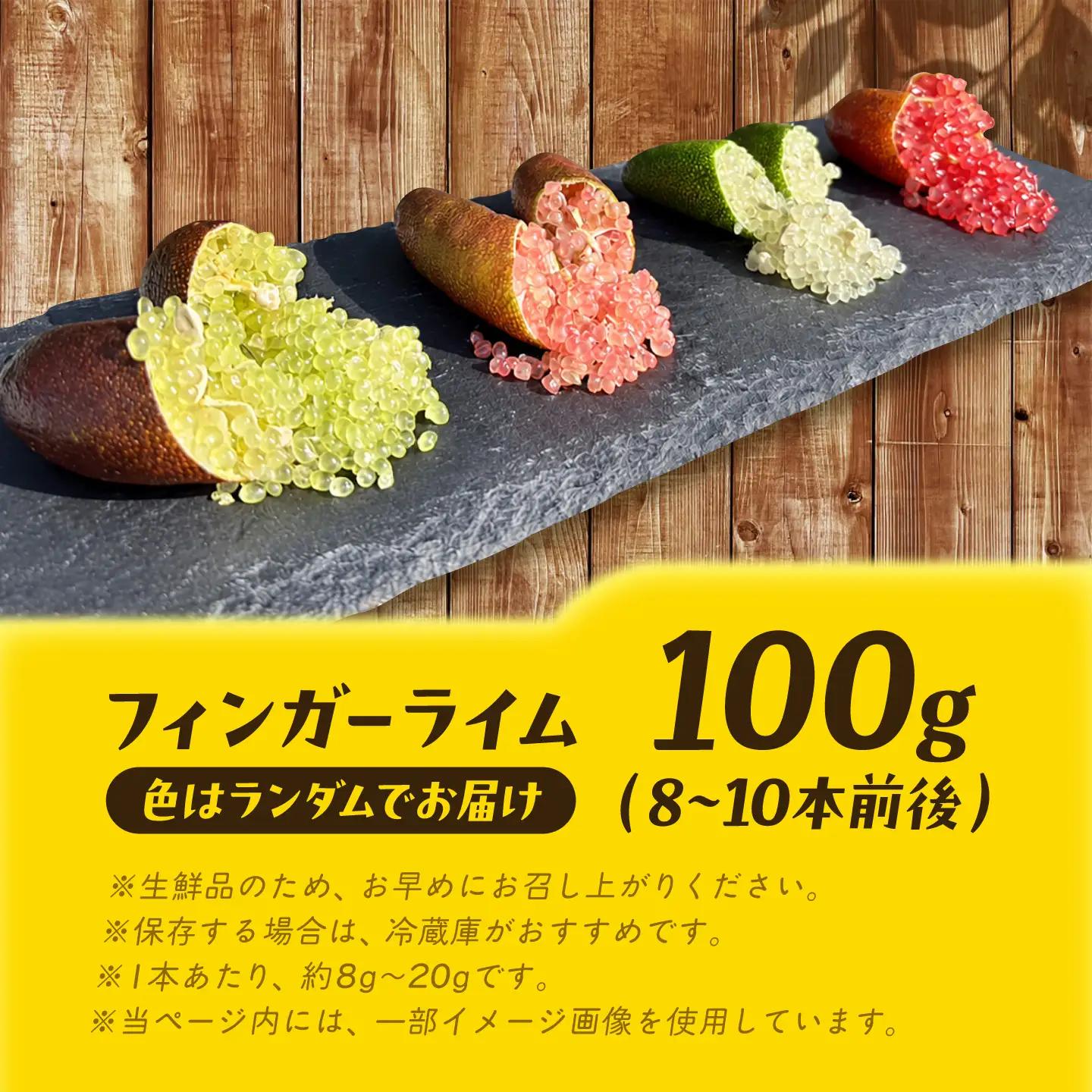 フィンガーライム 100g 広川町 / 古賀萬壽果園[AFBK005]