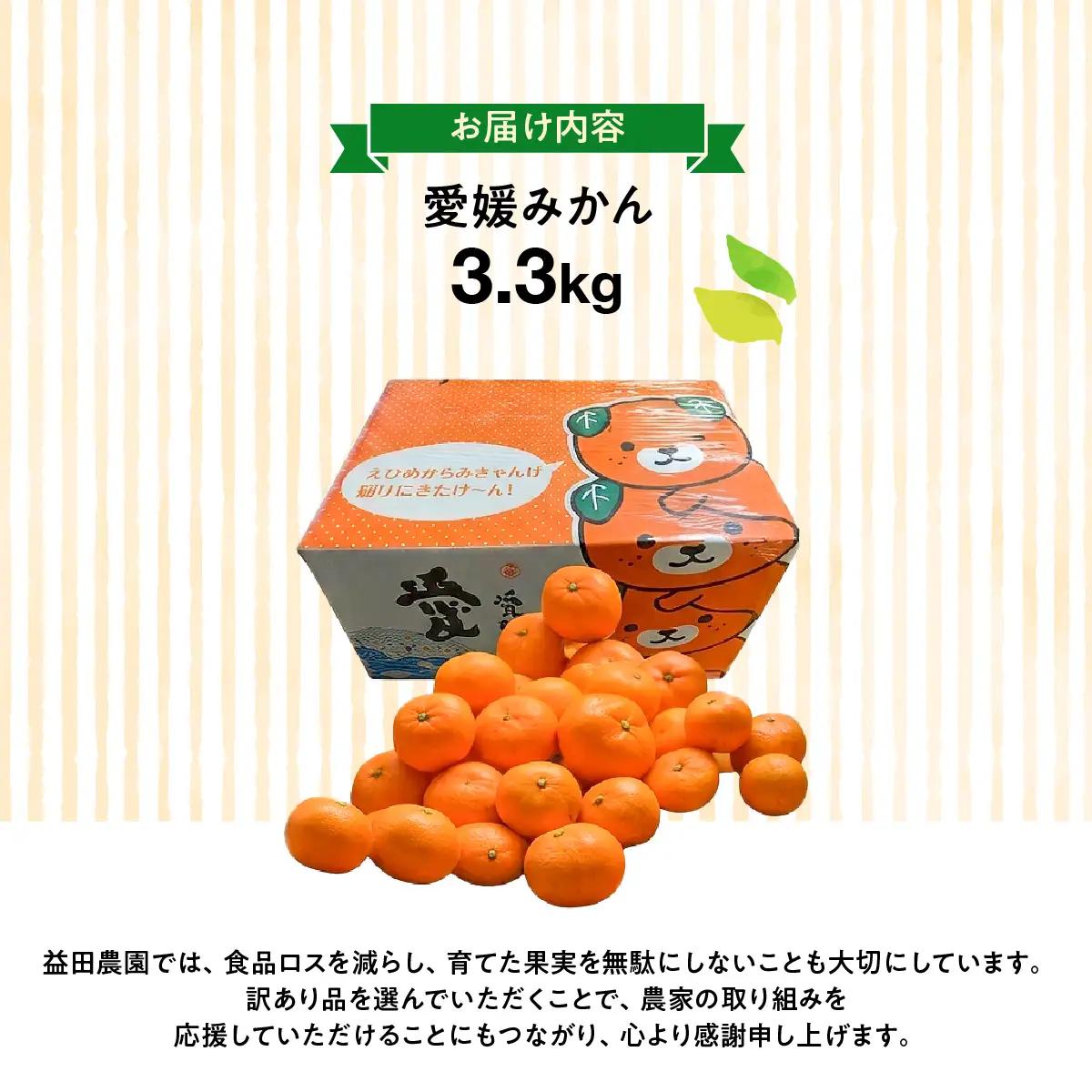 【先行受付】西宇和益田農園直送 愛媛みかん 3.3kg《訳あり》甘さと酸味の濃厚な味【103-1】　YWTBZ001