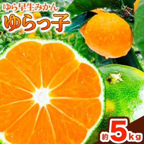 【ふるさと納税】ゆら早生みかん「ゆらっ子」 約5kg JA紀州産直店 さわやか日高（日高川町）《10月上旬-11月上旬頃出荷》 和歌山県 日高川町 ゆら早生みかん みかん 早生 柑橘 蜜柑 フルーツ