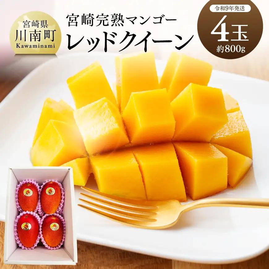 【令和9年発送】宮崎県産完熟マンゴー　「レッドクイーン」4玉(800g) 【 果物 フルーツ マンゴー 宮崎県産 完熟マンゴー みやざきマンゴー 先行予約 数量限定 期間限定 】