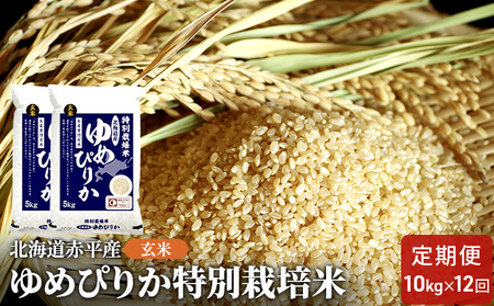 玄米特別栽培米北海道赤平産ゆめぴりか【10kg(5kg×2袋)】【12回お届け】