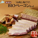 【ふるさと納税】「お肉と塩だけ」無添加BIOベーコンセット　170gx2【 ふるさと納税 人気 おすすめ ランキング ベーコン 豚肉 豚バラ 肉 にく 無添加 北海道 北斗市 送料無料 】 HOKAB001