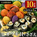 【ふるさと納税】ヒオウギ貝(10枚)とサザエ(約1kg) 魚介 貝 ヒオウギ貝 ひおうぎ貝 サザエ さざえ 栄螺 酒蒸し 網焼き バター焼き バーベキュー 獲れたて 冷蔵 海の直売所 大分県 佐伯市【AS120】【海べ (株)】