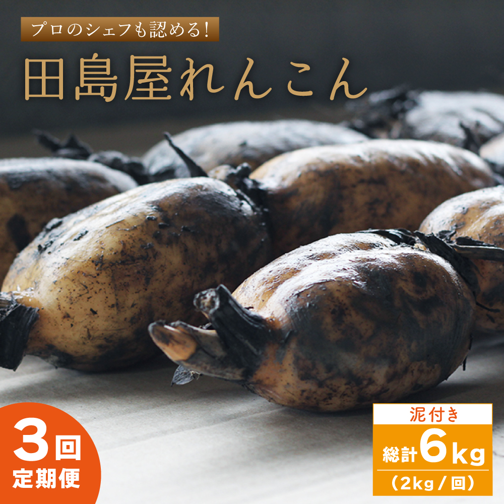 【先行予約　2027年1月～発送】【3回定期便】 れんこん（泥付き） 2kg×3回（計6kg） 【田島屋れんこん】 [IAV005]