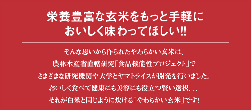やわらかい玄米 900g×20袋　※定期便6回　小分け 米 こめ コメ ごはん 栄養豊富 簡単 便利 美容 健康 新食感 もちもち 安心安全なヤマトライス　H074-637