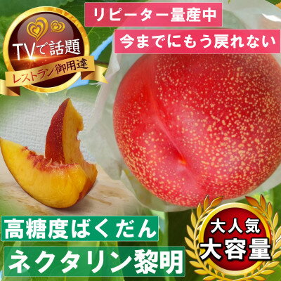 【ふるさと納税】《高糖度ばくだんネクタリン黎明》桃グランプリ日本一受賞&4年連続TV出演で話題2025年7月中旬発送【配送不可地域：離島・北海道・沖縄県・中国・四国・九州】【1465189】