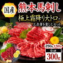 【ふるさと納税】 国産 熊本 馬刺し 上赤身 大トロ 300g 馬肉 馬 赤身 霜降り 専用醤油 肉刺し ギフト 贈答用 阿蘇 南小国町 送料無料