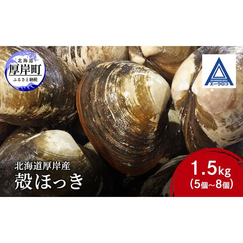 厚岸産 殻ほっき貝 1.5kg 5～8個 ホッキ