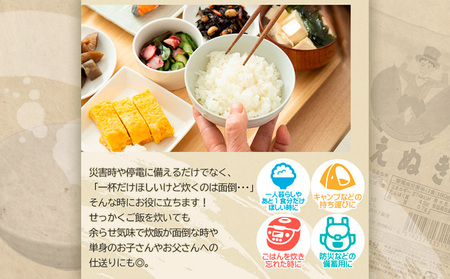 【令和7年産】山形県 山形市産 はえぬき パックライス 180g×24パック 5営業日以内発送 [10月以降発送開始] FZ25-305