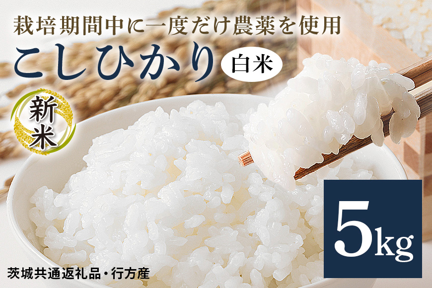 
            令和7年産新米 白米 5kg 栽培期間中できるだけ農薬を減らした＜ こしひかり＞ 茨城県産 米 お米 コメ ご飯 コシヒカリ 食味豊か 甘み 旨み 冷めても 美味しい お弁当 向け 食卓常備 産地直送 茨城県 潮来市 ＜茨城県共通返礼品・行方市産＞ (A03-016)
          