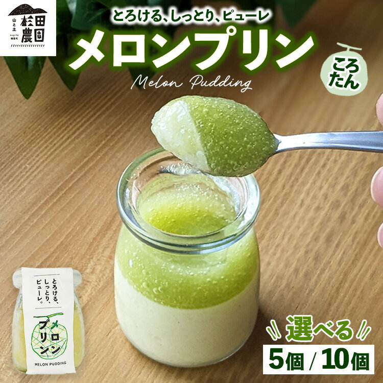 【ふるさと納税】＼レビュー投稿でお米プレゼント／【選べる個数】ころたん メロン プリン 5個入・10個入 ｜ 冷凍 洋菓子 冷凍 スイーツ デザート お菓子 ※沖縄・離島への配送不可