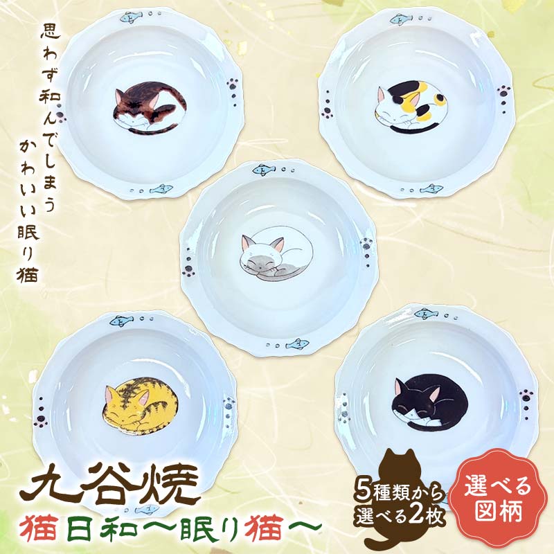【ふるさと納税】【選べる図柄】九谷焼 猫日和～眠り猫 5種類から選べる2枚セット 伝統工芸 小皿 皿 食器 F6P-3035var