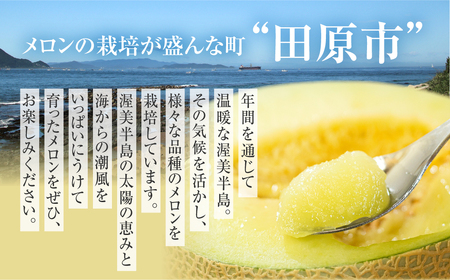 日研農園 アールスメロン　3L×4玉入 【先行予約】 めろん フルーツ 果物 ジューシー 愛知県 特産品 産地直送 田原市 渥美半島