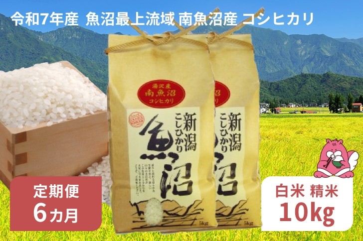 
            令和7年産 10kg 【6か月定期便】〈白米〉（5kg×2袋）魚沼最上流域 南魚沼産 コシヒカリ 精米したてのお米をお届け 【湯沢産 コシヒカリ】
          