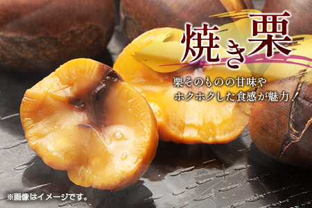 ＜期間限定＞国産 低温熟成栗（生栗）1.5kg 熟成宝珠栗 産地直送 宮崎県新富町産【B672】