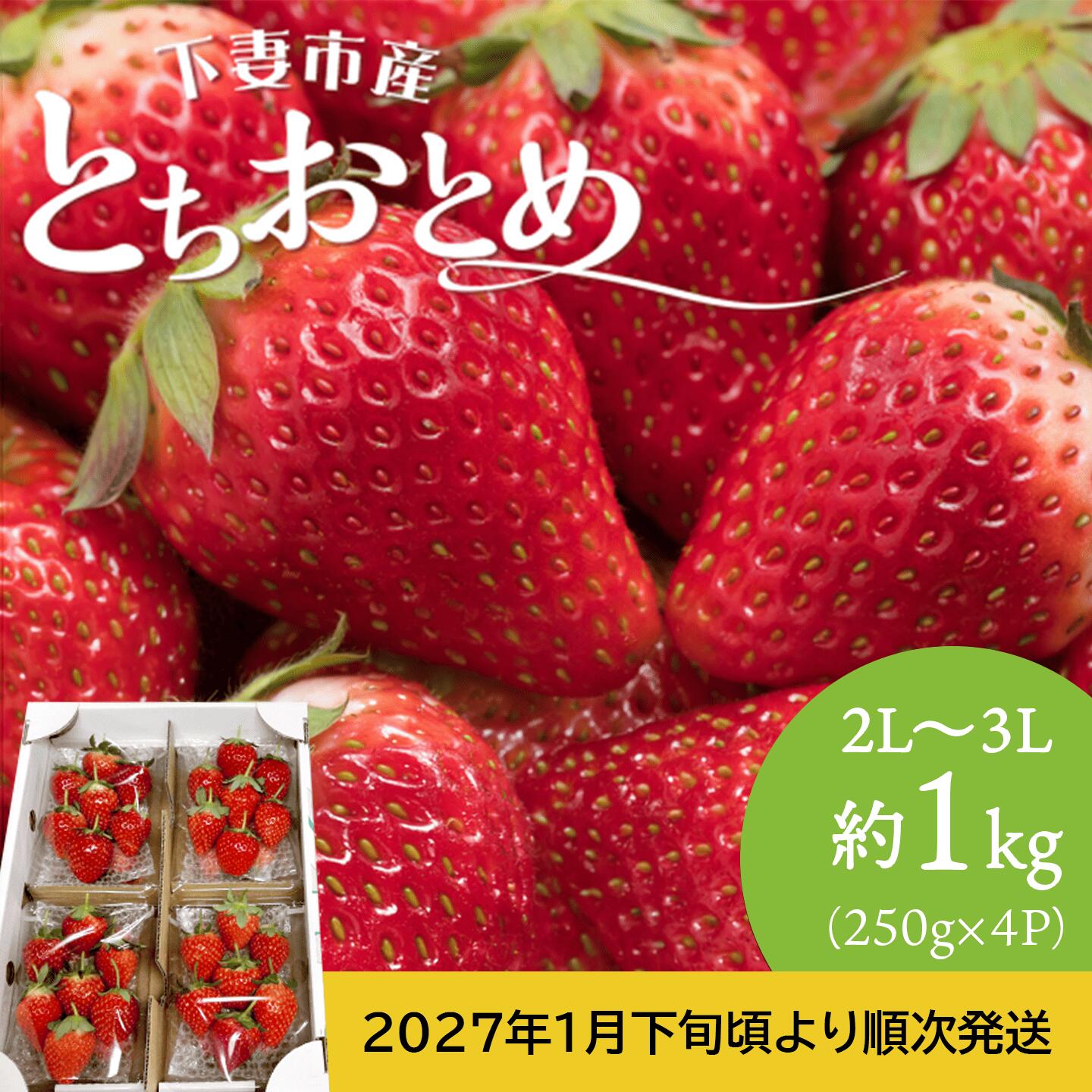 【ふるさと納税】とちおとめ いちご 2L ～ 3L 約1kg ( 250g × 4P ) 下妻市産 本州のみ配送 【 2027年1月下旬頃～3月中旬頃発送予定 】 いちご イチゴ 苺 とちおとめ ジューシー 果物 フルーツ 甘み