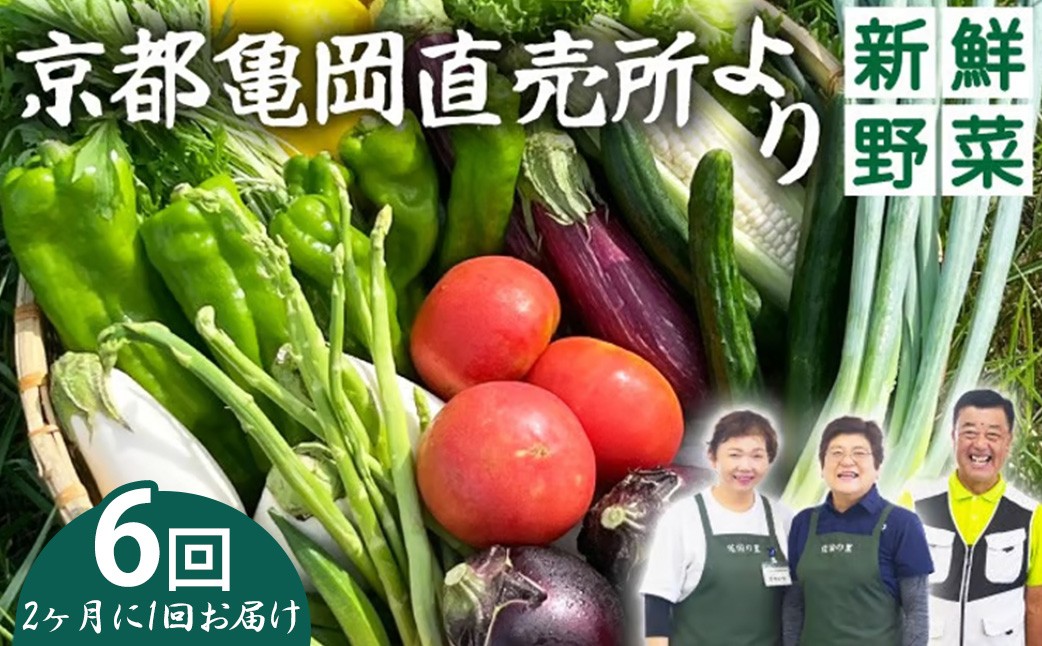 
                  【6回定期便(2ヶ月に1回)】野菜 定期便 直送 6回 朝採れ 7～10品目 京都丹波 亀岡 佐伯の里 訳あり生活応援 家計応援 野菜定期便 訳あり野菜定期 丹波野菜定期 亀岡野菜定期 佐伯野菜定期 朝採れ野菜定期 野菜定期便直送 野菜定期便6回 野菜定期便京都 定期野菜 やさい定期 米野菜定期便 定期やさい 米定期便 野菜 定期米 米 ※北海道・沖縄・離島への配送不可
                
