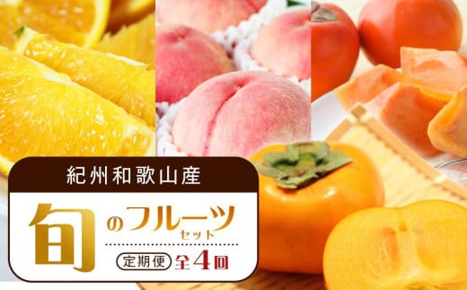 【7・8・10・11月 全4回】紀州和歌山産旬のフルーツセット（バレンシア・桃・ひらたねなし柿・富有柿）【UT81】