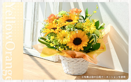 定期便 ≪6ヶ月連続お届け≫ 季節のフラワーアレンジメント M (イエロー・オレンジ) 花束 生花 プレゼント [G-20703_02]