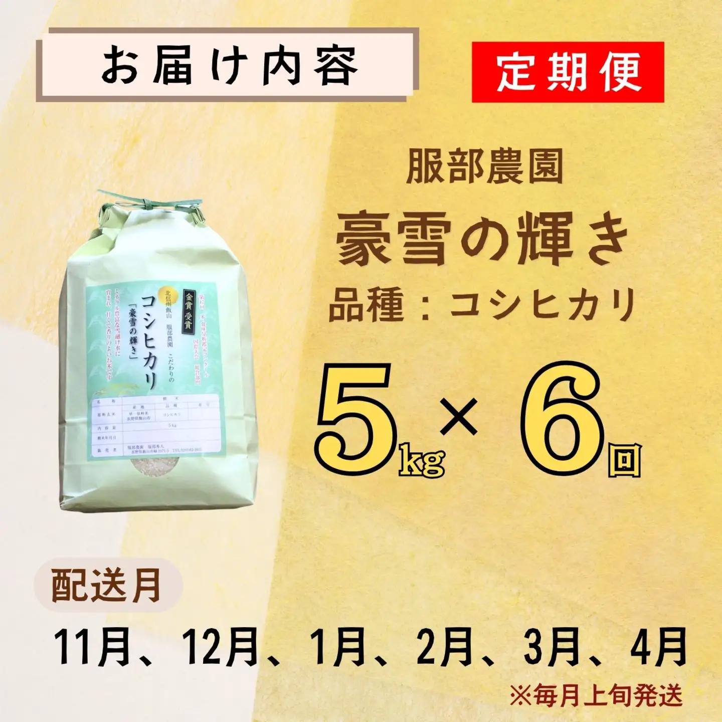 【新米予約】《定期便》コシヒカリ 5kg 6回 服部農園_Cf-001 定期便