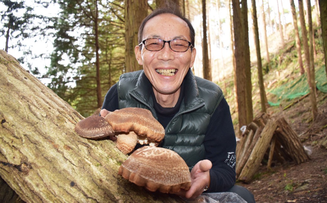 【2026年2月下旬-3月下旬発送予定】美咲町産 しいたけカッシーファームのみさき輝茸(みさきてるたけ) 3～5個合計約500g