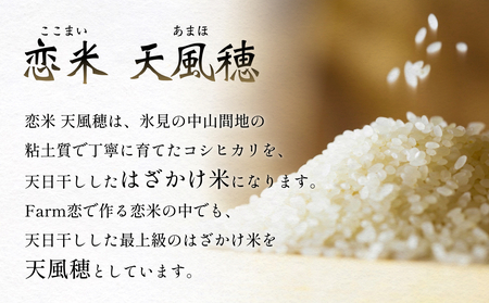 令和7年産 富山県産コシヒカリ 5kg　恋米（ここまい） 天風穂（あまほ） はざかけ米 はざ掛け 富山県 氷見市