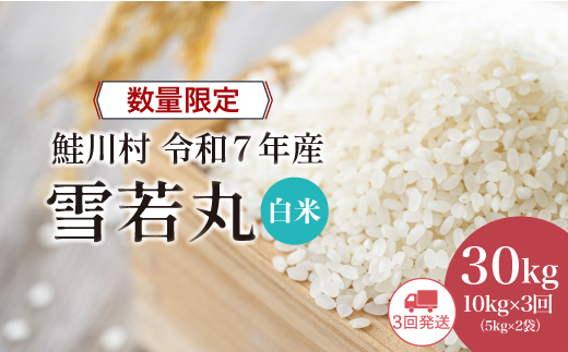 ◇数量限定品◇ 令和8年7月上旬より発送 ＜令和7年産＞ 雪若丸【白米】30kg定期便 (10kg×3回)　鮭川村