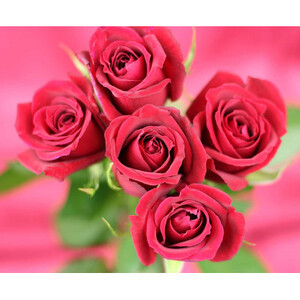 【ファイン】エチケットローズ 42カプセル入(14日分) ｜エチケットローズ  カプセル 薔薇 ソフトカプセル 兵庫県 上郡町 