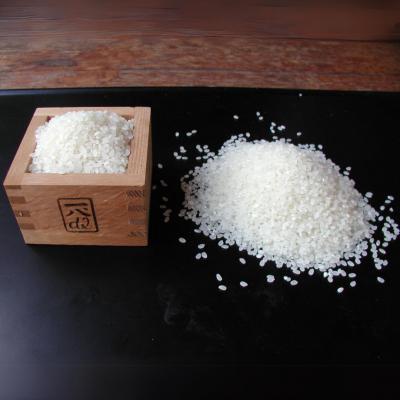 ふるさと納税 三条市 新米 お米食べ比べセット 計4kg (2kg×2) コシヒカリ 新之助 新潟県認証【013S125】 |  | 01