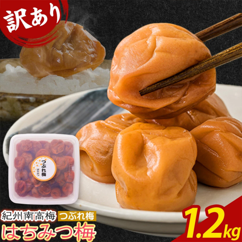 南高梅 はちみつ 梅 紀州南高梅 つぶれ 梅干し 約1.2kg 有限会社プラム《30日以内に出荷予定(土日祝除く)》和歌山県 日高町 送料無料 梅 うめ ウメ 南高梅 つぶれ梅 蜂蜜 紀州
