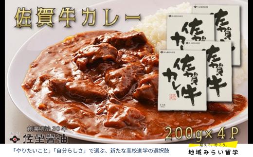
                  佐星醤油 佐賀牛カレー4個セット
                