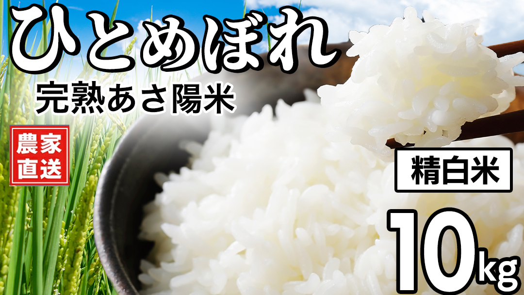 【 新米 】 完熟あさ陽米 (精白米) 10kg (5kg×2) ひとめぼれ 特別栽培米 令和8年産 新米 生産農家直送 米 産地直送 こめ 精米 白米 ご飯 あさ陽米 岩手県 特別栽培 農家直送 事