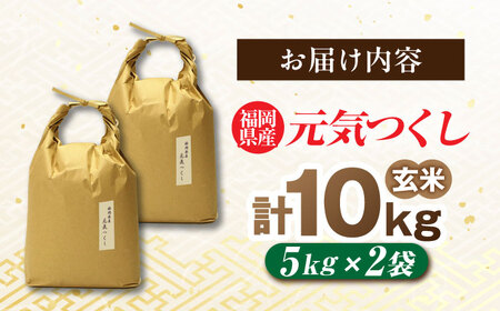 福岡県産 元気つくし 玄米 10kg (5kg×2袋) 吉富町/株式会社ベネフィス[BGAF020]