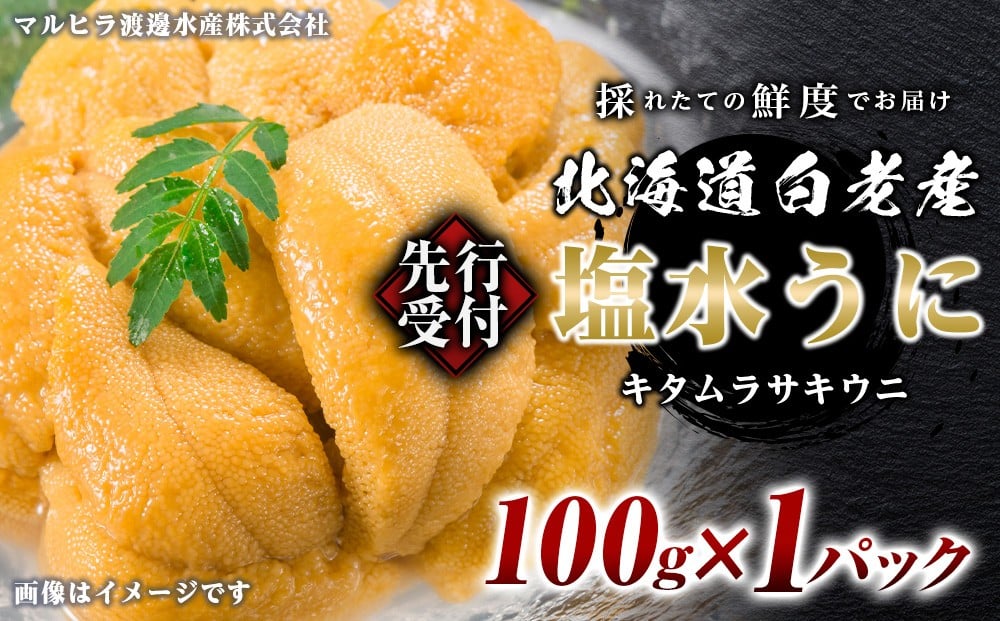
            2026年発送 先行受付 ウニ本来の味が楽しめる【白老産】塩水ムラサキウニ 100g×1パック
          
