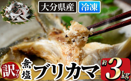 
＜訳あり＞ 無塩 ブリカマ (約3kg)大分県産 国産 ぶりかま ブリ ぶり 鰤 養殖ブリ 煮つけ 鰤かま カマ焼き 冷凍 大分県 佐伯市【ET002】【(有)三宅水産】
