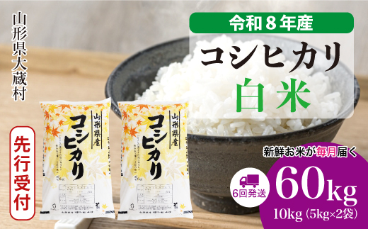 ＜令和8年産米先行受付＞ 令和9年4月中旬より発送  こしひかり【白米】60kg定期便(10kg×6回） 山形県大蔵村