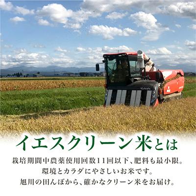 ふるさと納税 旭川市 【令和7年産米】数量限定イエスクリーン米ななつぼし　玄米30kg×1袋_00217 |  | 01