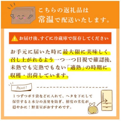 にっこり 梨 5kg (8～12玉)【2026年発送】かすみがうら市【配送不可地域：離島・沖縄県】
