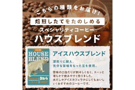 【アイスコーヒー用】自家焙煎アイスコーヒー用ブレンドコーヒー豆 500g（250g×2） 八月の犬ハウスブレンド 約50杯分　小分け　豆・粉 選べる