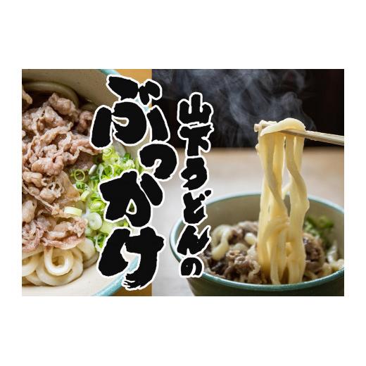 【ふるさと納税】山下うどん(2) お試しセット（20食）