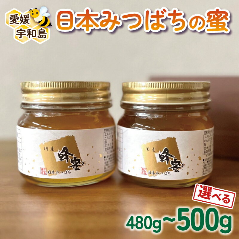 【ふるさと納税】 ＼10営業日以内発送／ 国産はちみつ 日本みつばち の 蜜 選べる 内容量 480g~500g セット 非加熱 宇和島農産 国産蜂蜜 国産はちみつ 国産純粋はちみつ 蜜 蜂蜜 はちみつ 人気ハチミツ 純粋はちみつ 生はちみつ 産地直送 国産 愛媛 宇和島