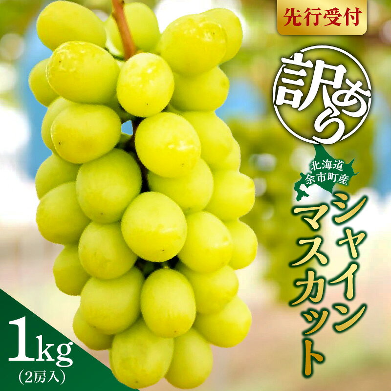【ふるさと納税】【先行予約：2026年9月下旬以降発送】訳あり北海道産シャインマスカット 1kg【優品2房】 送料無料　北海道余市町