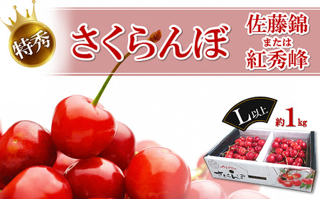 【令和7年産先行予約】 さくらんぼ「佐藤錦または紅秀峰」 約1kg (特秀 L以上) 《令和7年6月中旬～発送》 『マルエ青果』 先行予約 サクランボ 果物 フルーツ 山形県 南陽市 [1115]