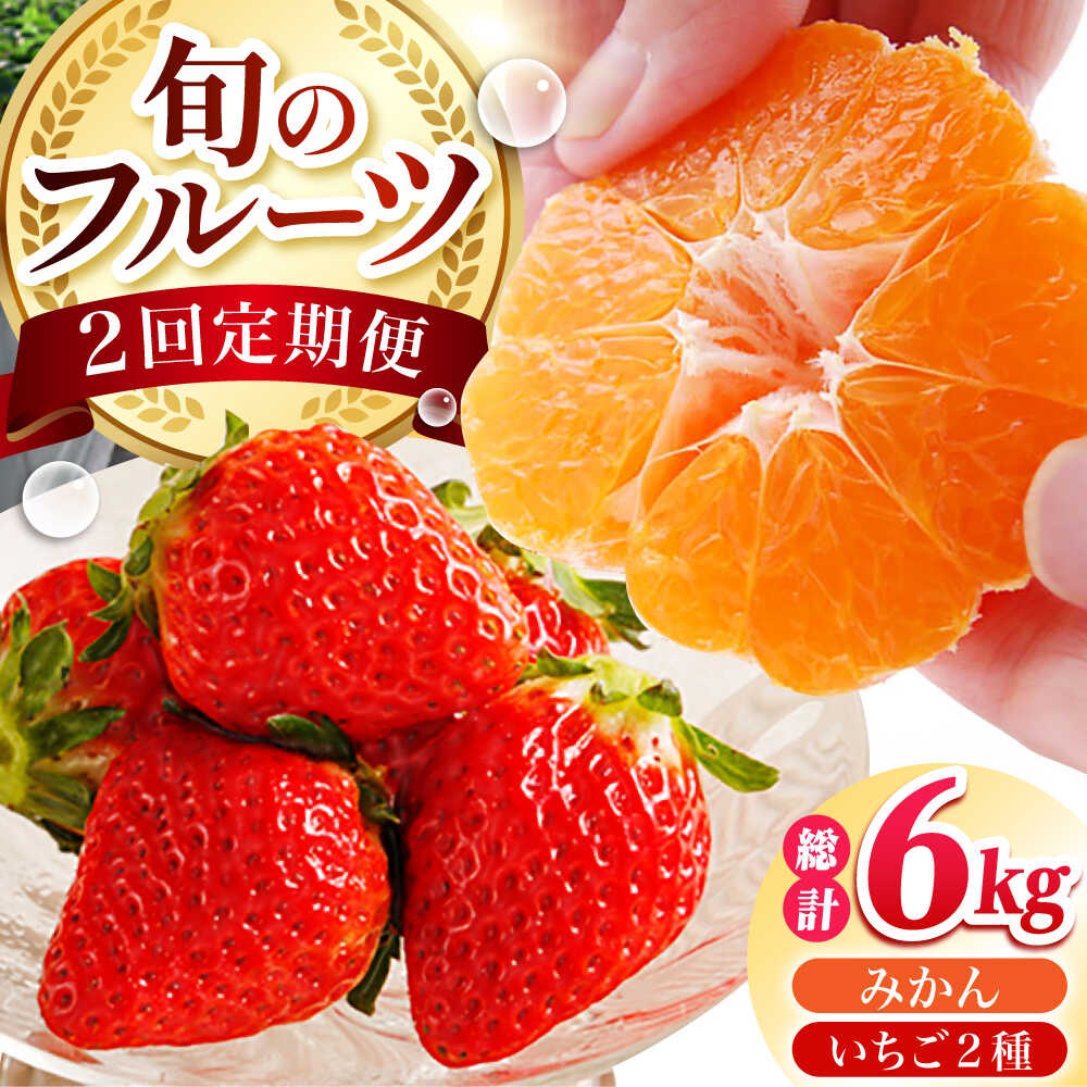 【ふるさと納税】【全2回定期便】 旬のフルーツ定期便 （ みかん ・ いちご ）[HZY101] / いちご 苺 イチゴ 果物 くだもの フルーツイチゴ 苺 いちごさん さがほのか 佐賀県 国産 ミカン 蜜柑 柑橘 完熟 完熟みかん 甘い 高糖度 糖度 あまい 温州みかん 温州ミカン 熟成