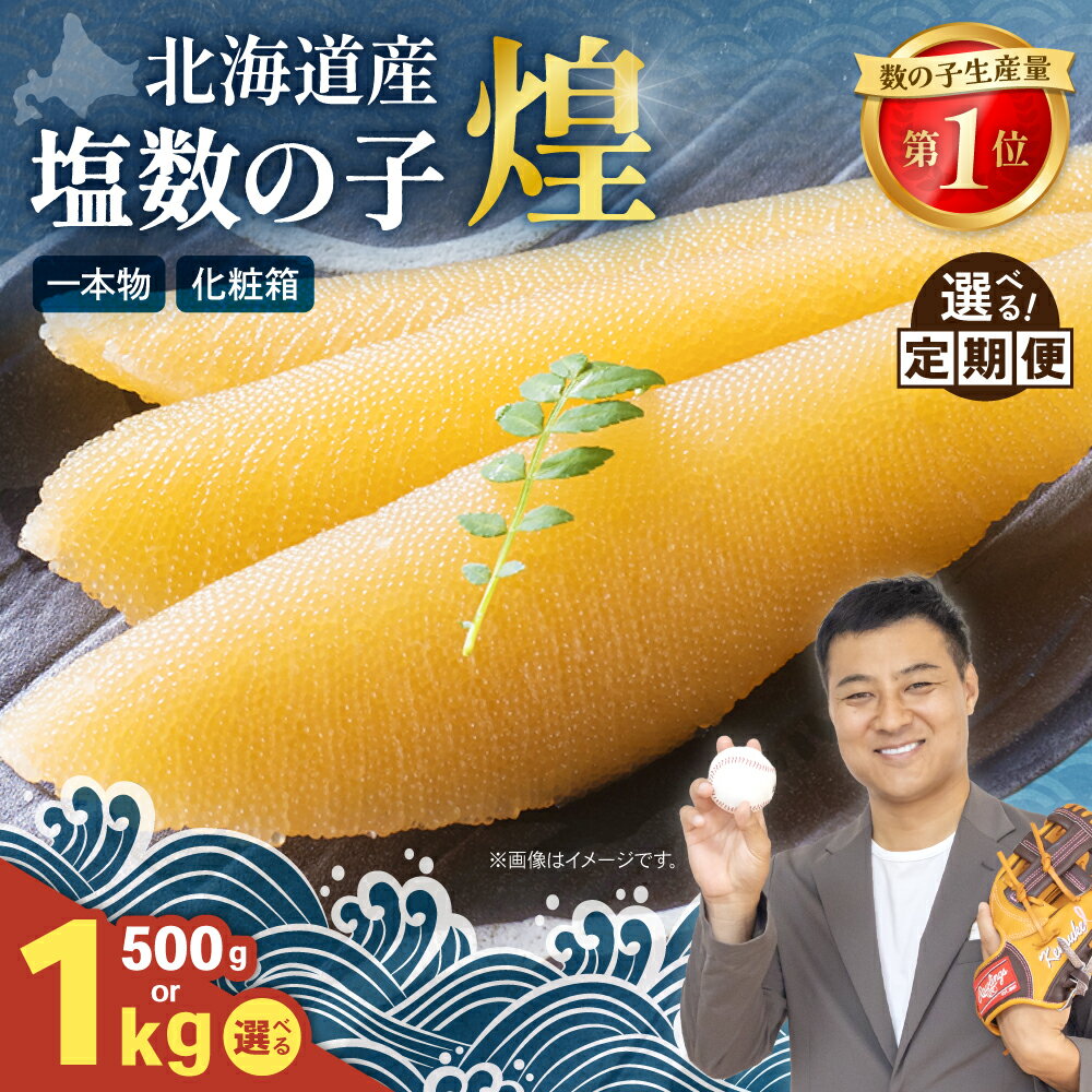 【ふるさと納税】〈選べる量・発送回数〉数の子 北海道 煌 500g 国産 令和6年 水産庁長官賞受賞 やまか つまみ ご飯のお供 惣菜 おかず 海鮮 海産物 海の幸 魚介類 魚卵 加工品 北海道産 かずのこ カズノコ 塩カズノコ おせち
