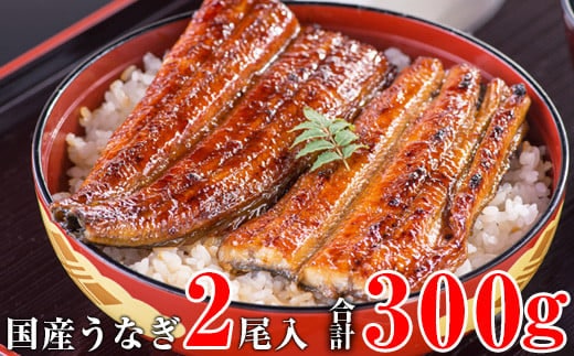 
										
										国産うなぎ蒲焼き大サイズ２本セット(A247-1)
									