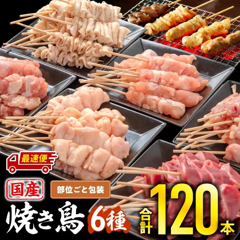 鶏肉 焼き鳥 鶏肉[最速便 若鶏 6種 120本]