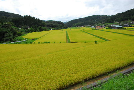 里山新見のめぐみ ジビエ肉味噌＆食べる猪ラー油 セット