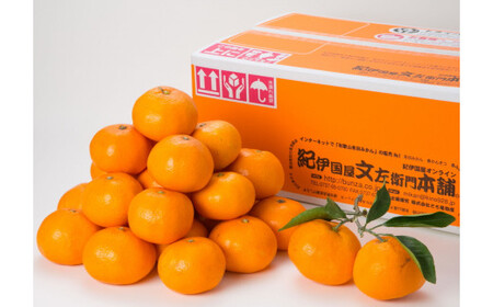 ブランド有田みかん　秀品5キロ　サイズお任せ/紀伊国屋文左衛門本舗　※2024年10月下旬～2025年1月中旬頃発送予定（お届け日指定不可）【sgtb140A】