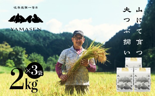 新米先行予約【2026年産米】（2026年10月中旬頃から順次発送）2kg×3袋（6kg）すがたらいす 山仙 (いのちの壱)  6キロ 下呂市金山産 令和8年産 お米 精米 米 いのちのいち やません